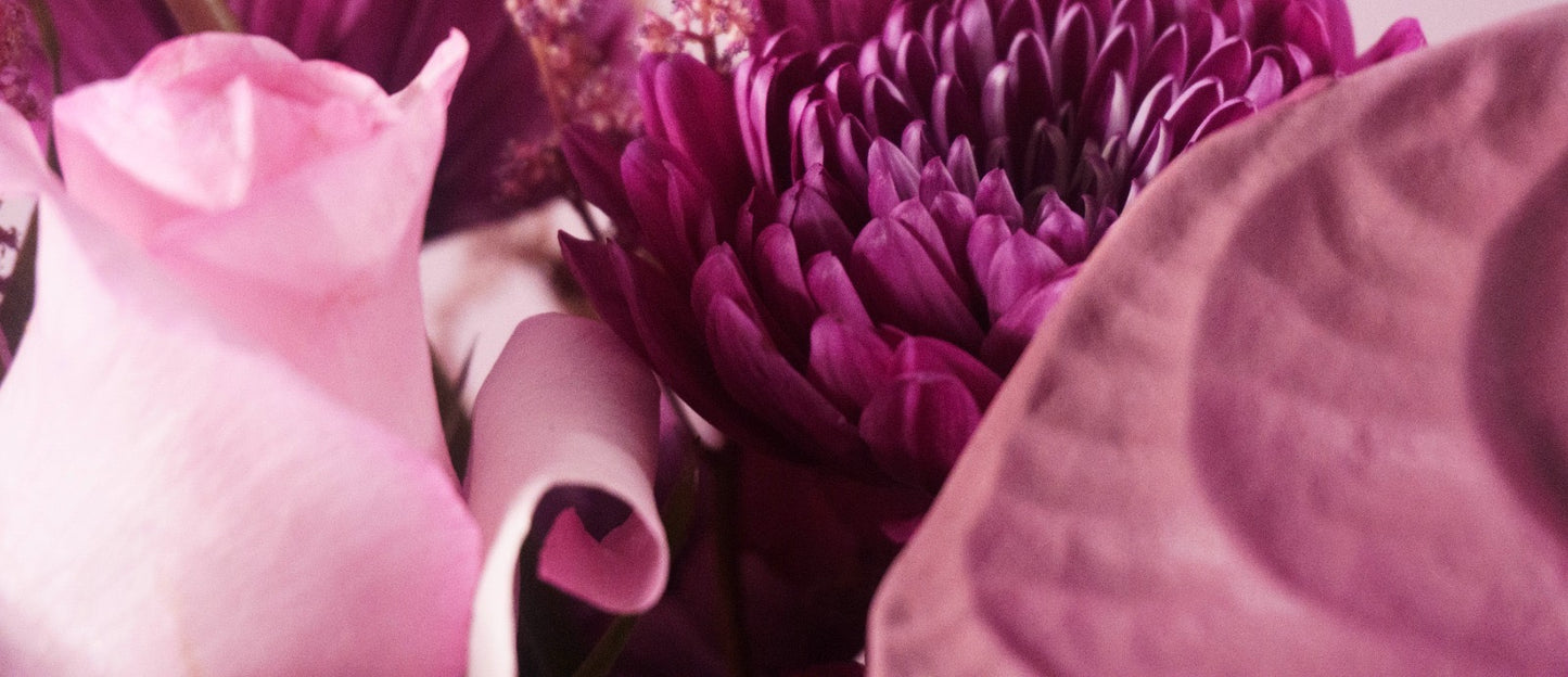 La Violetosa