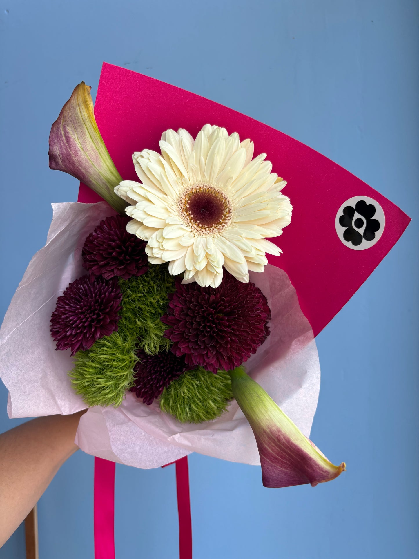 Ramo de Virgo