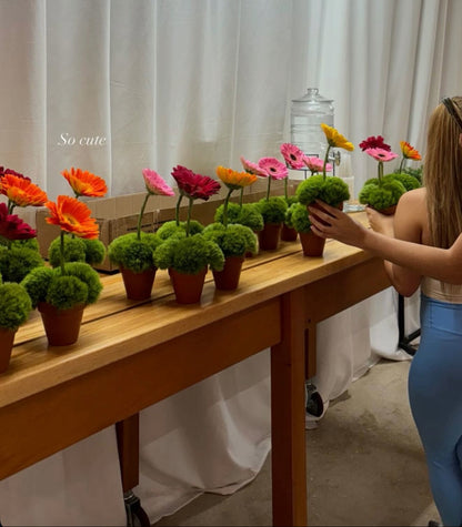 La sembrada Valentines