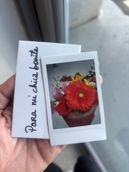 Polaroid