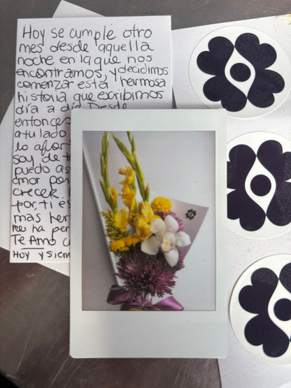 Polaroid